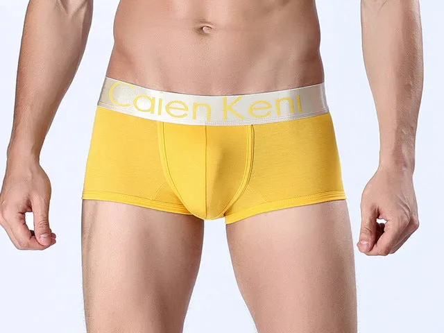 2017 NEW Summer dress Caienkeni  Cotton Underwear Men Boxer Shorts mens underwear Male Panties