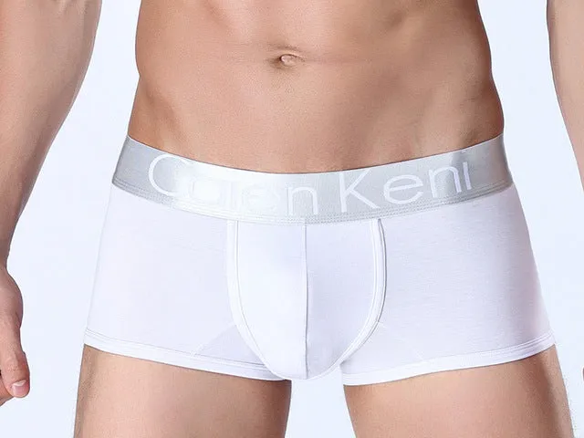 2017 NEW Summer dress Caienkeni  Cotton Underwear Men Boxer Shorts mens underwear Male Panties