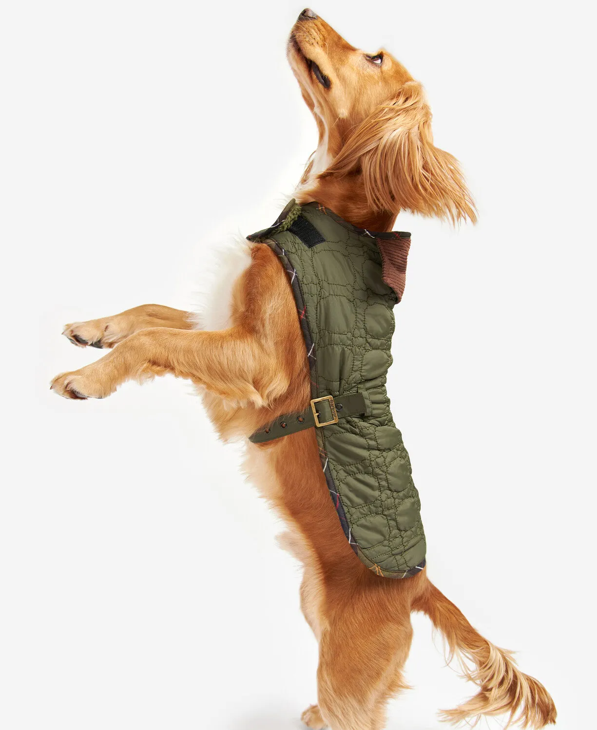 Barbour Dog Bone Quilted Dog Coat