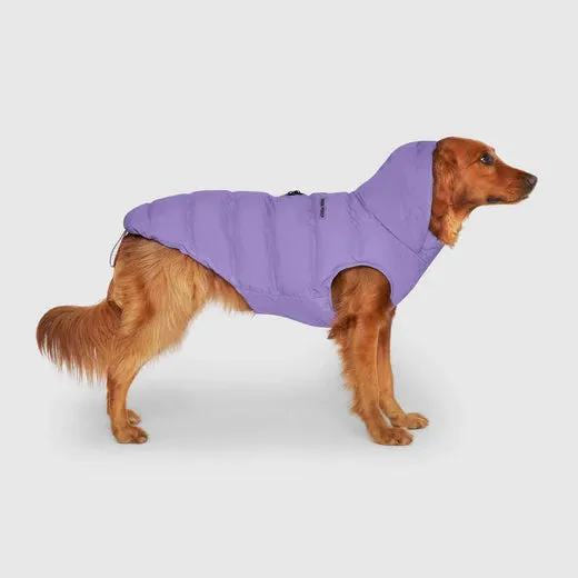 Canada Pooch The Waterproof Puffer Jacket