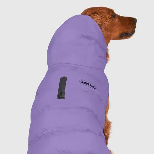 Canada Pooch The Waterproof Puffer Jacket