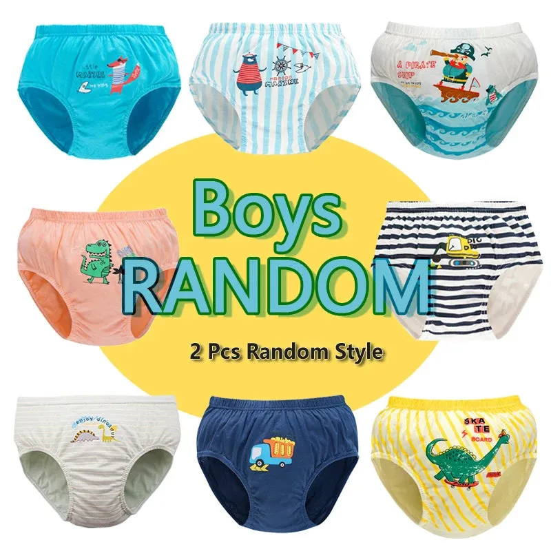 Exquisite Box Package Boys Underwear Soft Breathable Cotton Briefs For Boys Cartoon Dinosaur Kids Panties Knickers Multipack