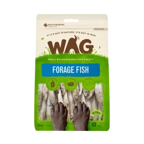 Forage Fish