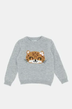 Infant Girls Grey Cheetah Knitted Pullover