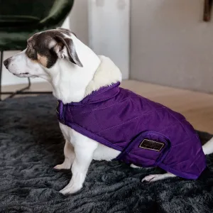 Kentucky Dogwear Dog Coat - Purple