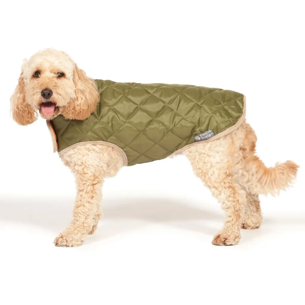 Quilted Dog Coat