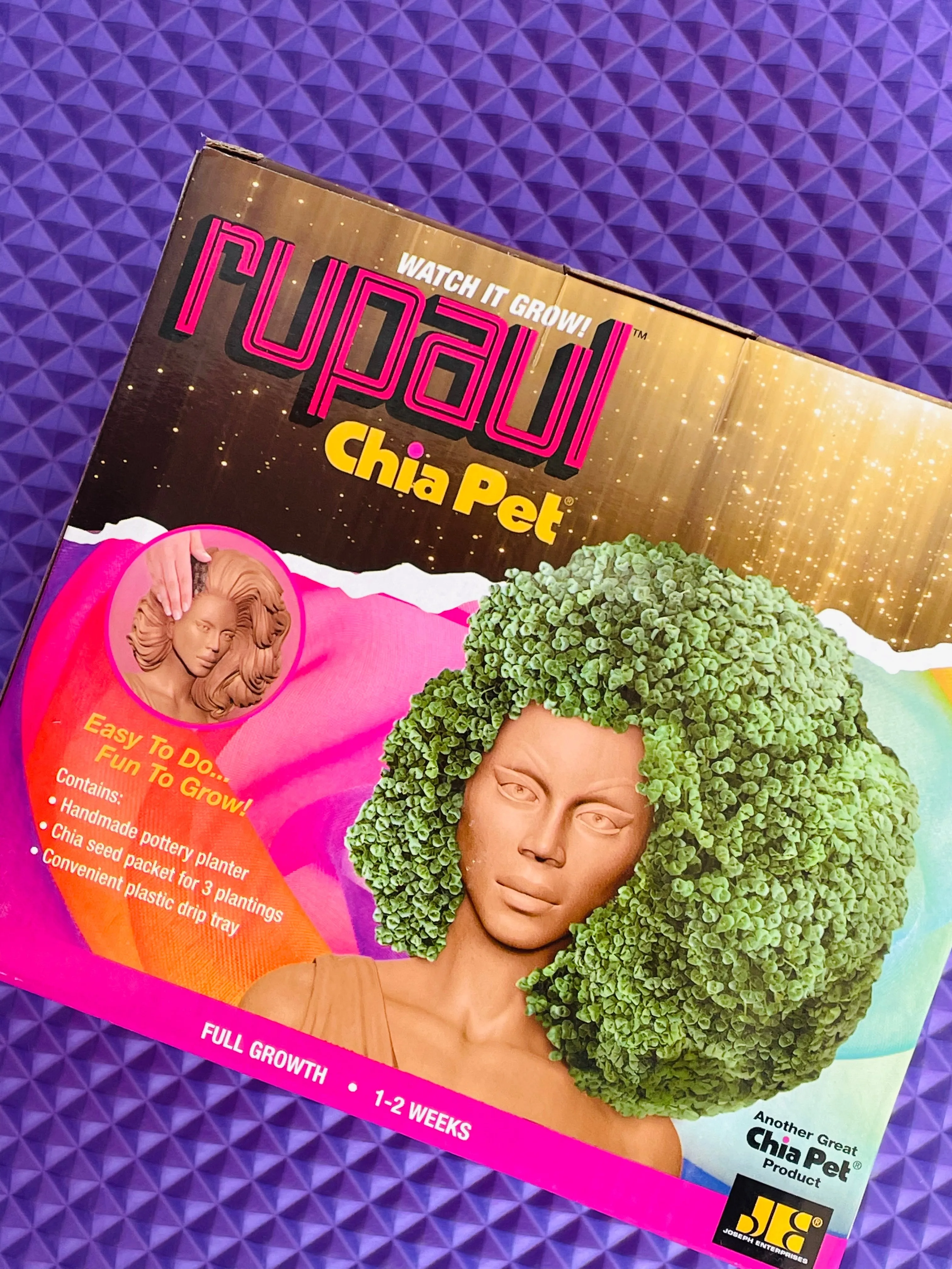 RUPAUL CHIA PET