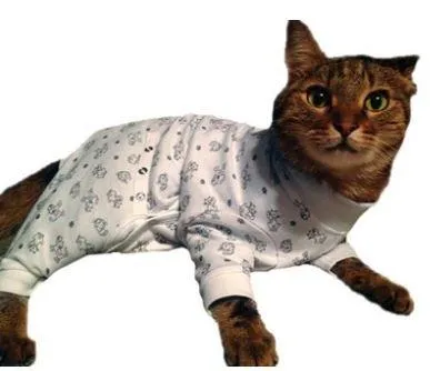 Tulane's Closet Cat Post Surgery Onesie