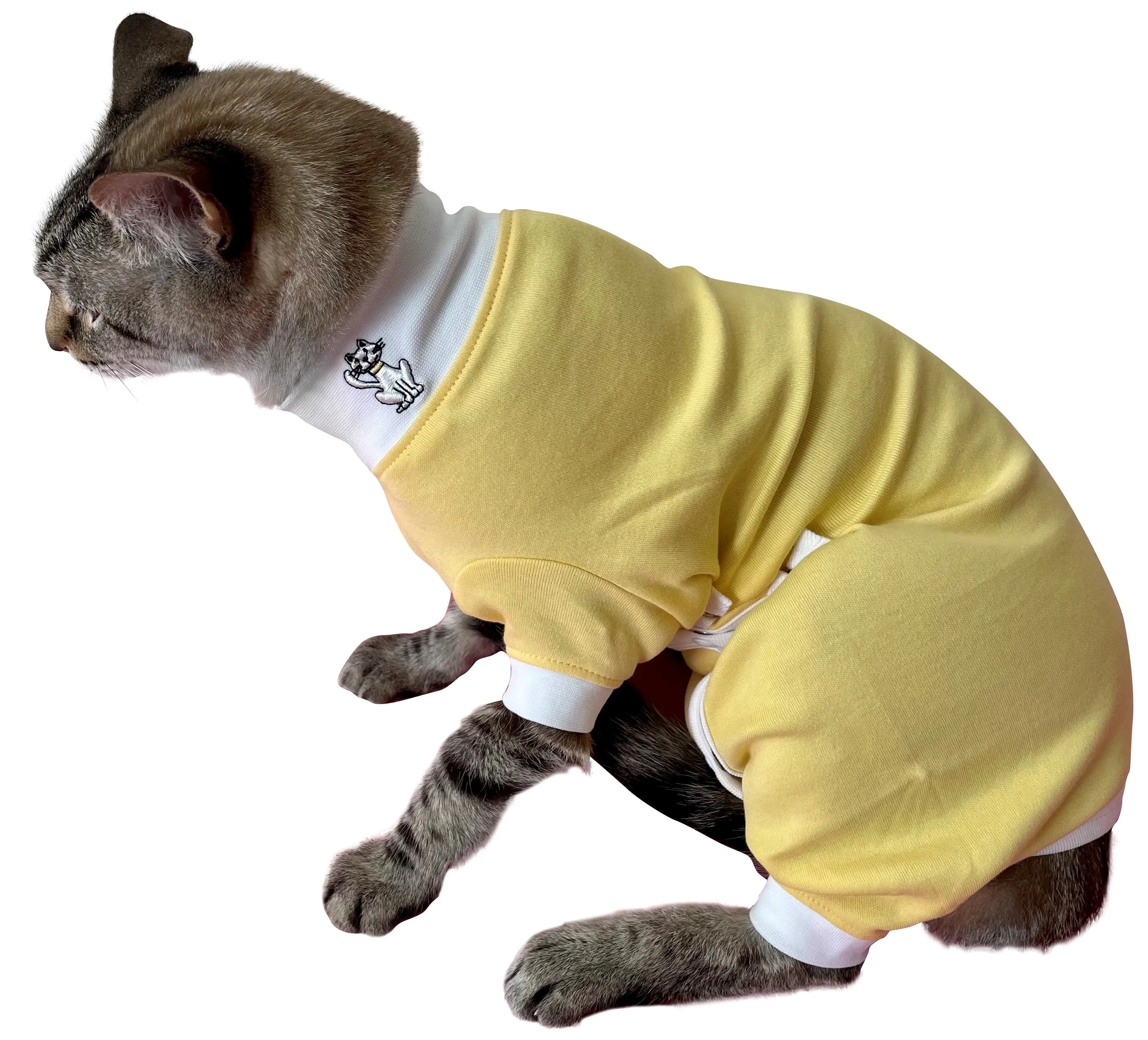 Tulane's Closet Cat Post Surgery Onesie